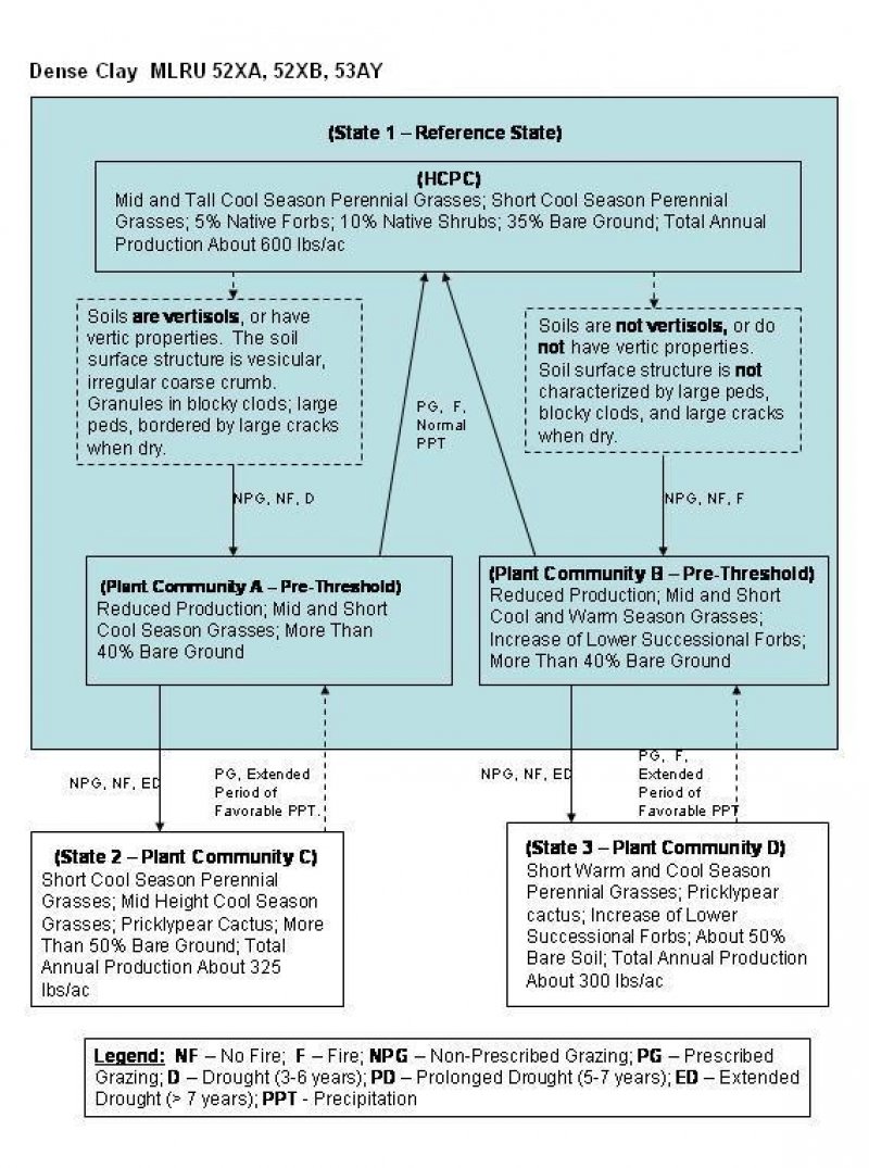 Model diagram