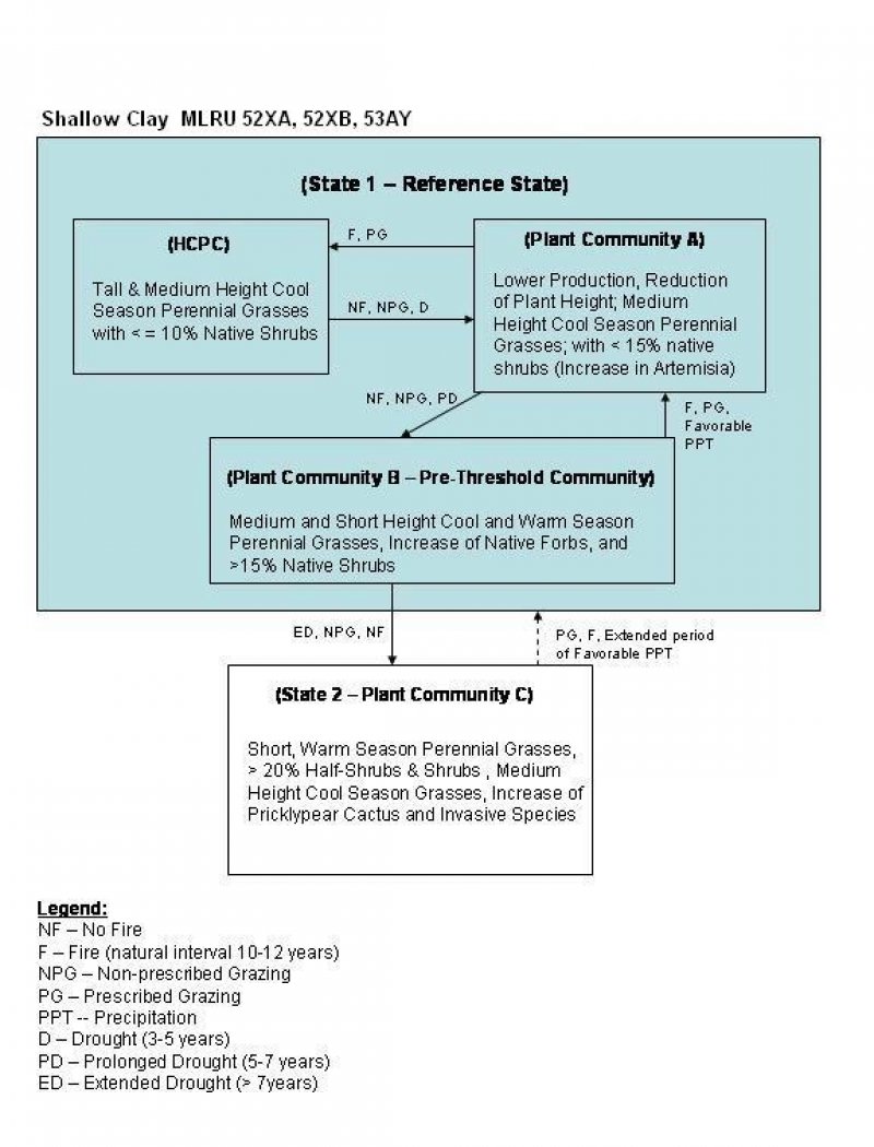 Model diagram