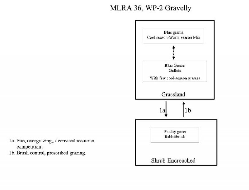 Model diagram