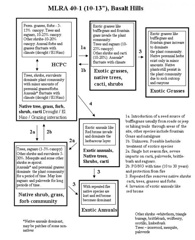 Model diagram