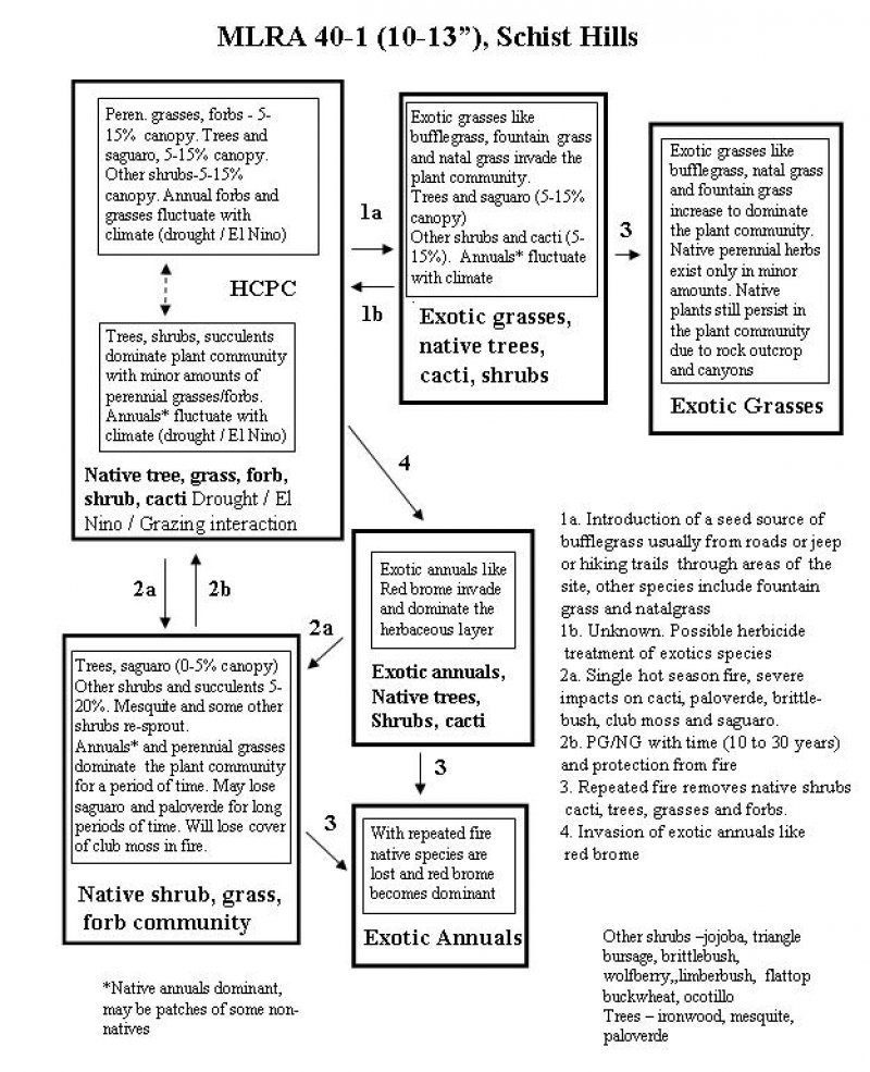 Model diagram