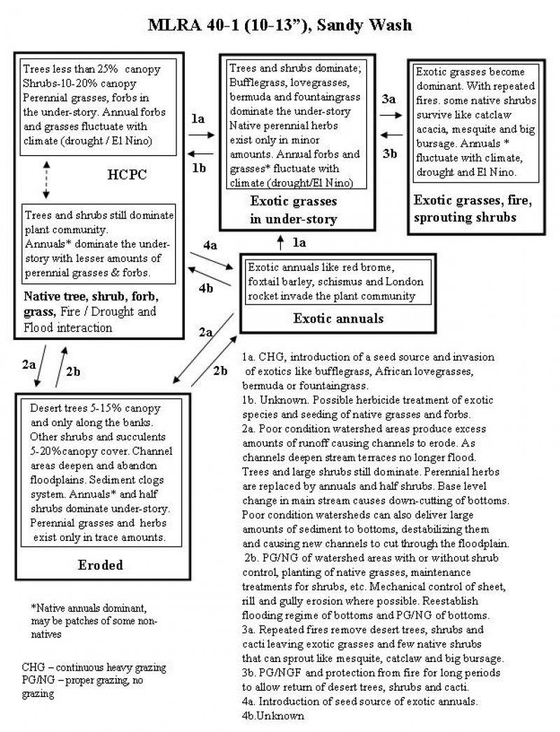Model diagram