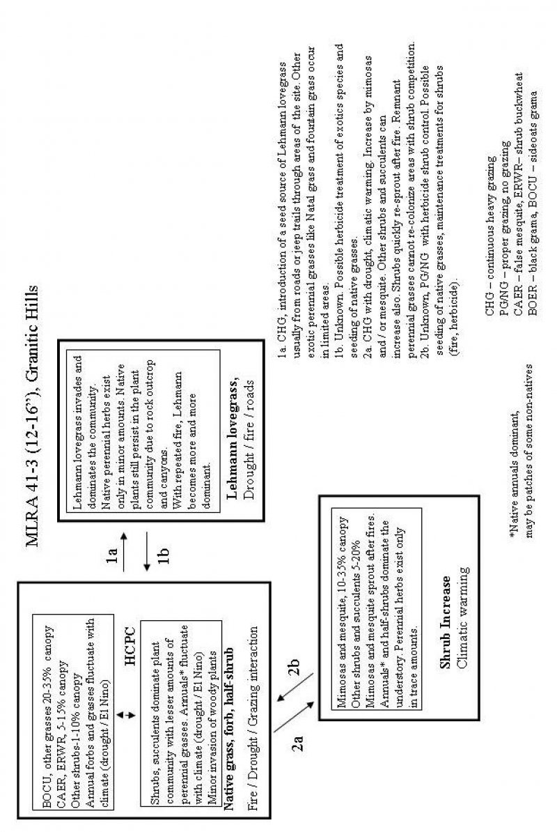 Model diagram