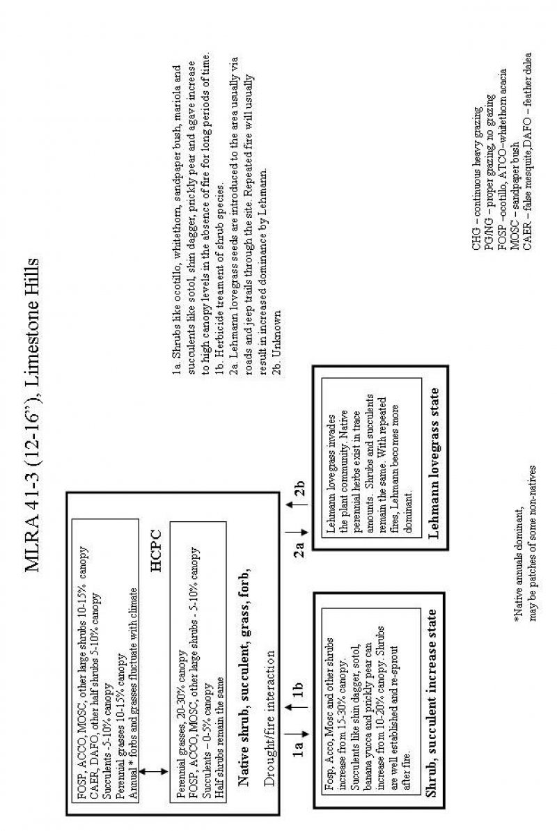 Model diagram