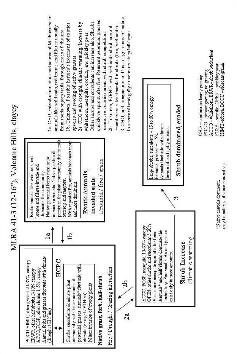 Model diagram