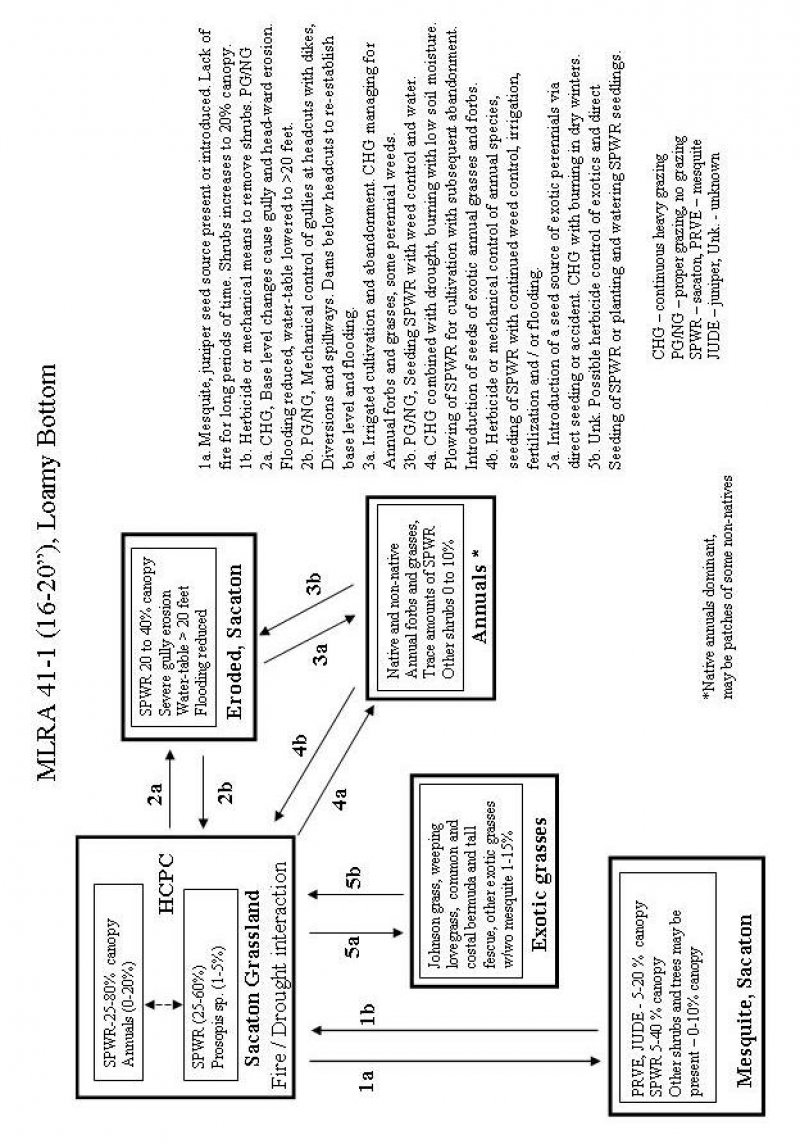 Model diagram