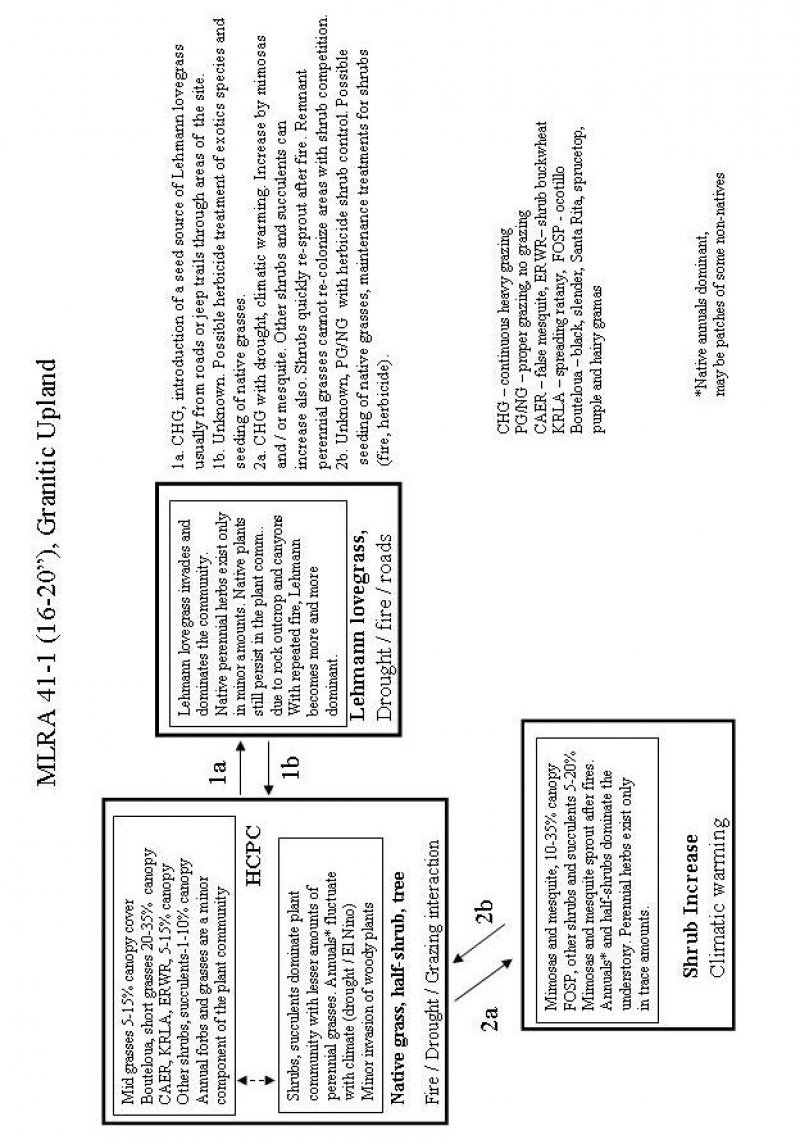 Model diagram