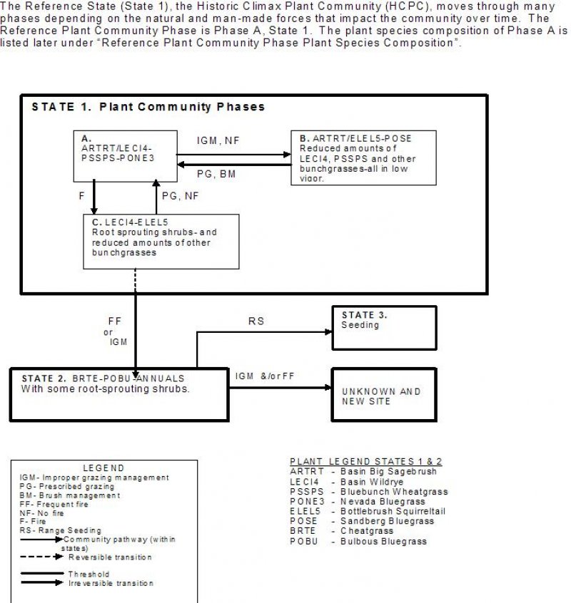 Model diagram