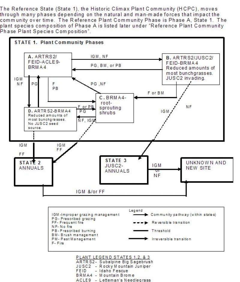 Model diagram