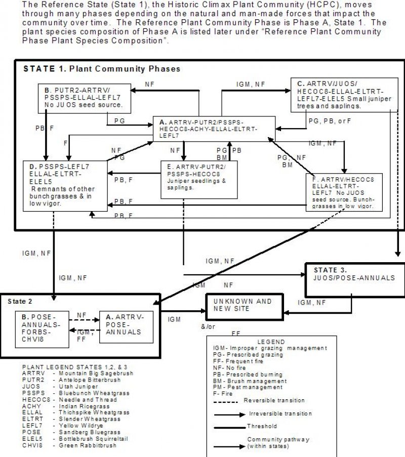 Model diagram