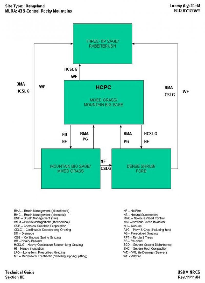 Model diagram