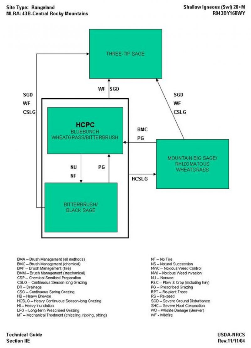 Model diagram