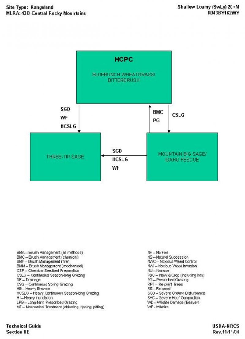 Model diagram