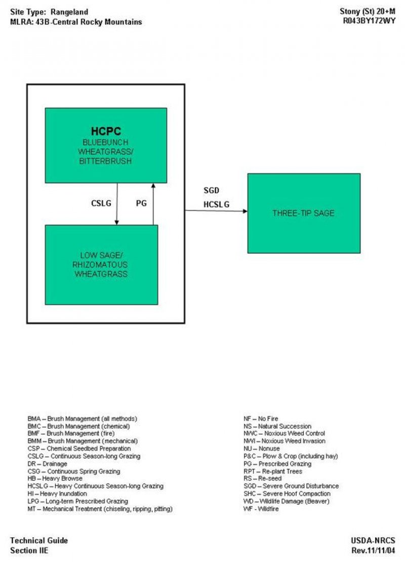 Model diagram