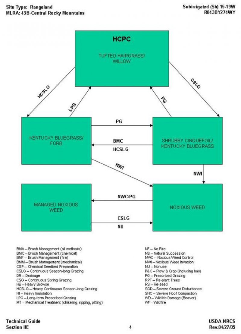 Model diagram