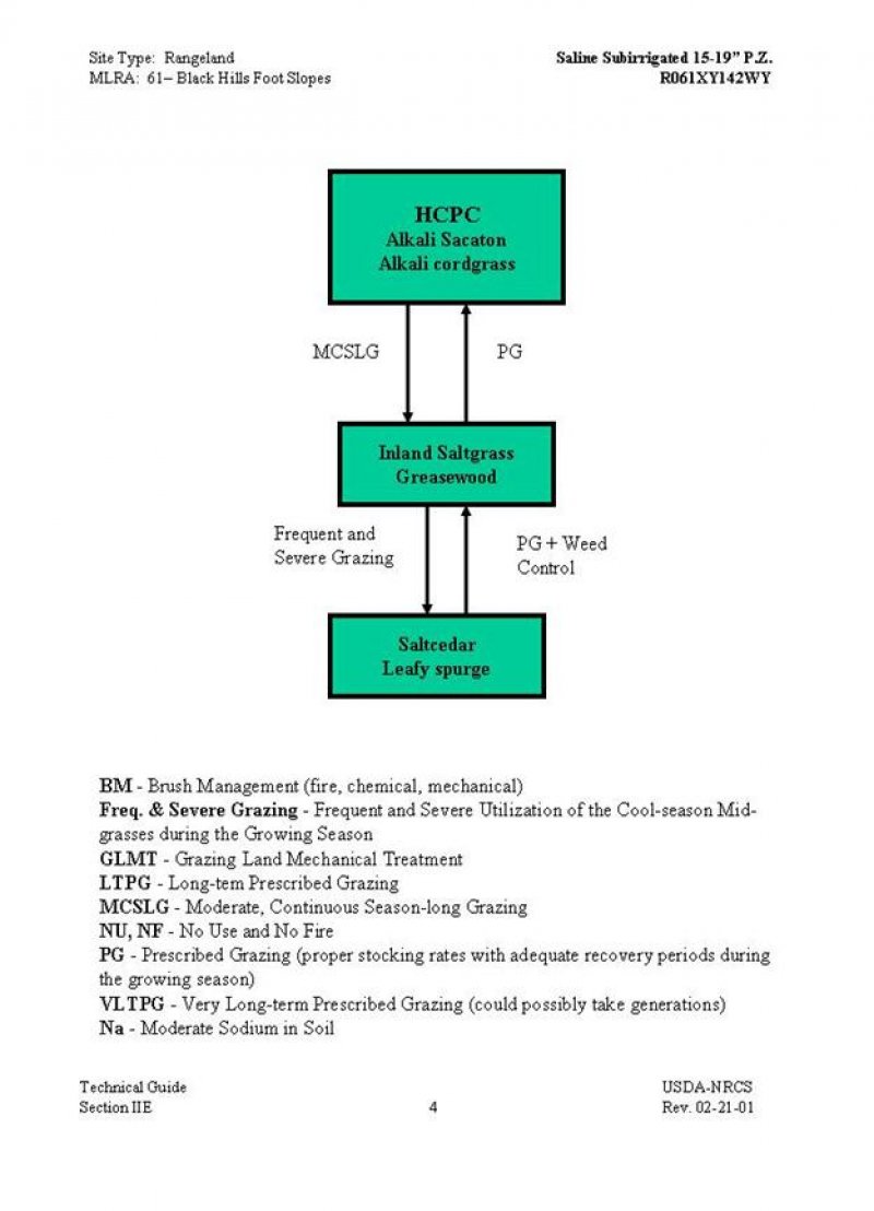Model diagram