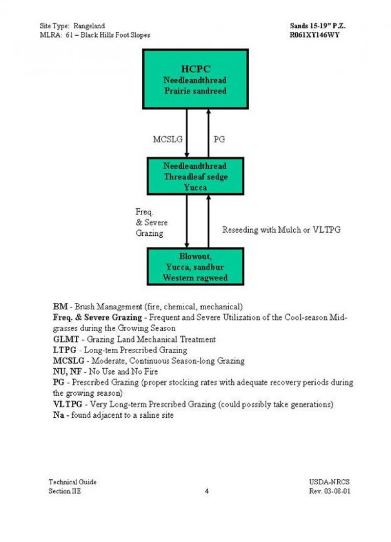 Model diagram