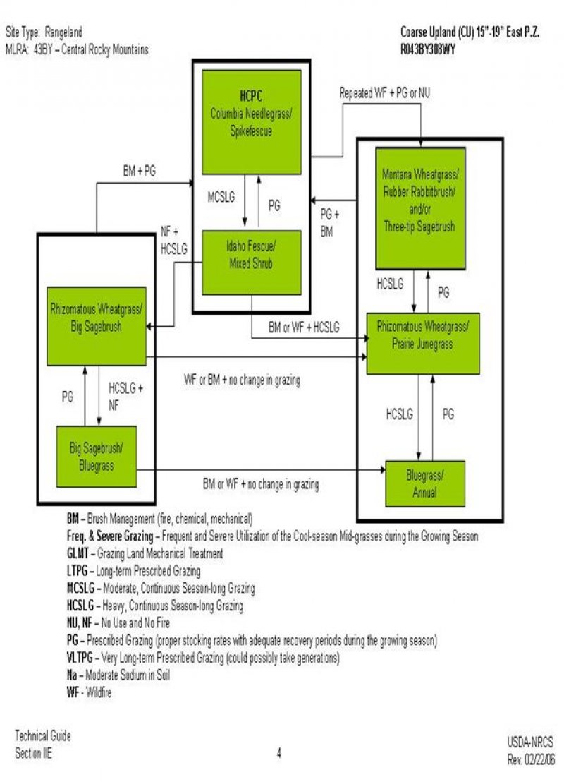 Model diagram