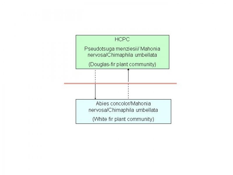 Model diagram