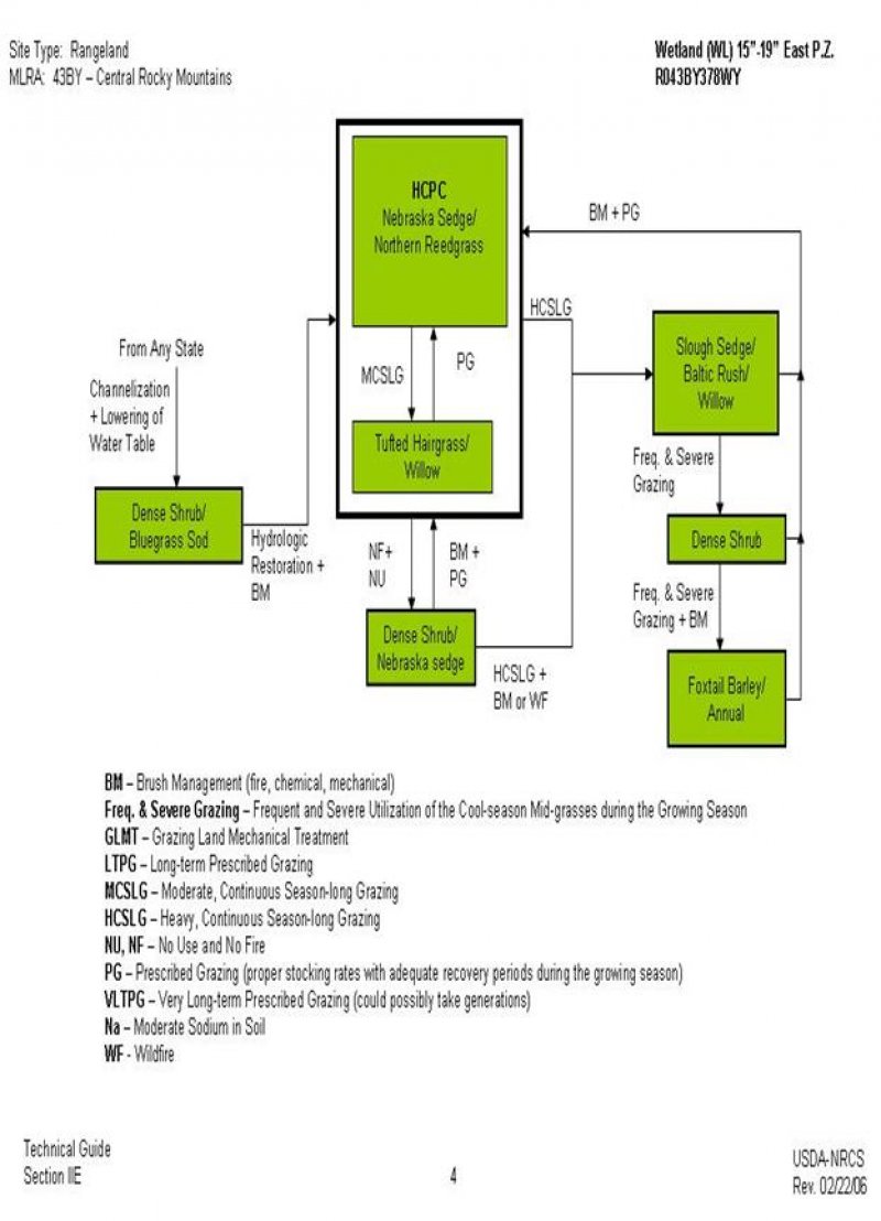 Model diagram