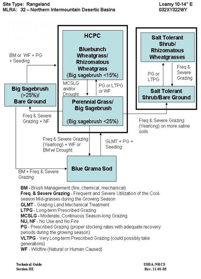 Model diagram