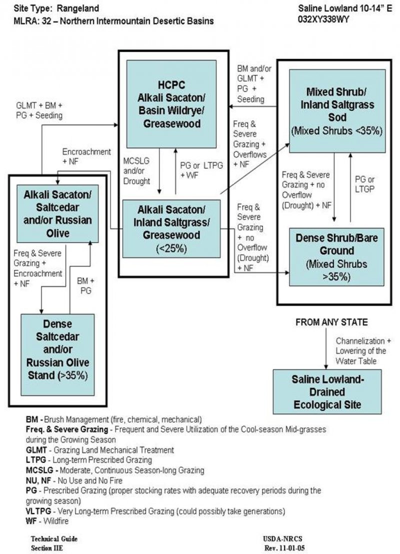 Model diagram