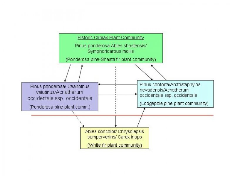 Model diagram