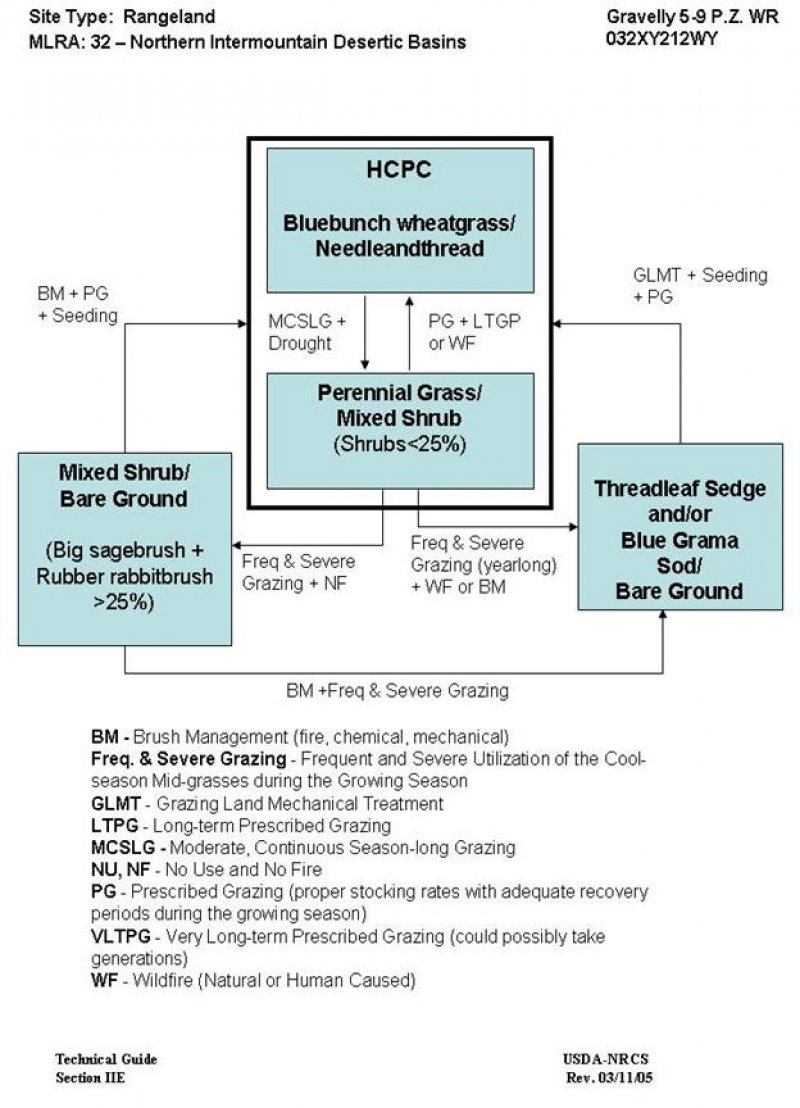 Model diagram
