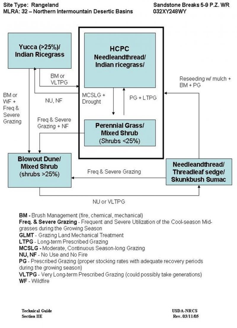 Model diagram