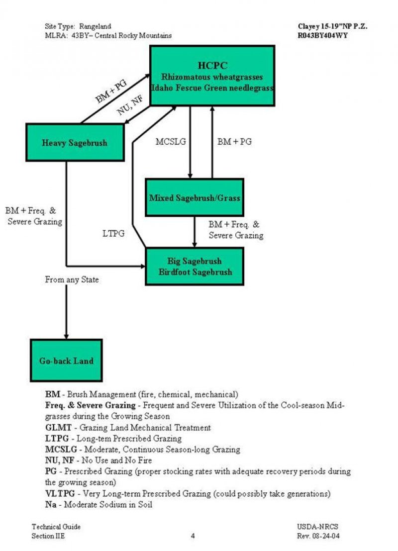 Model diagram