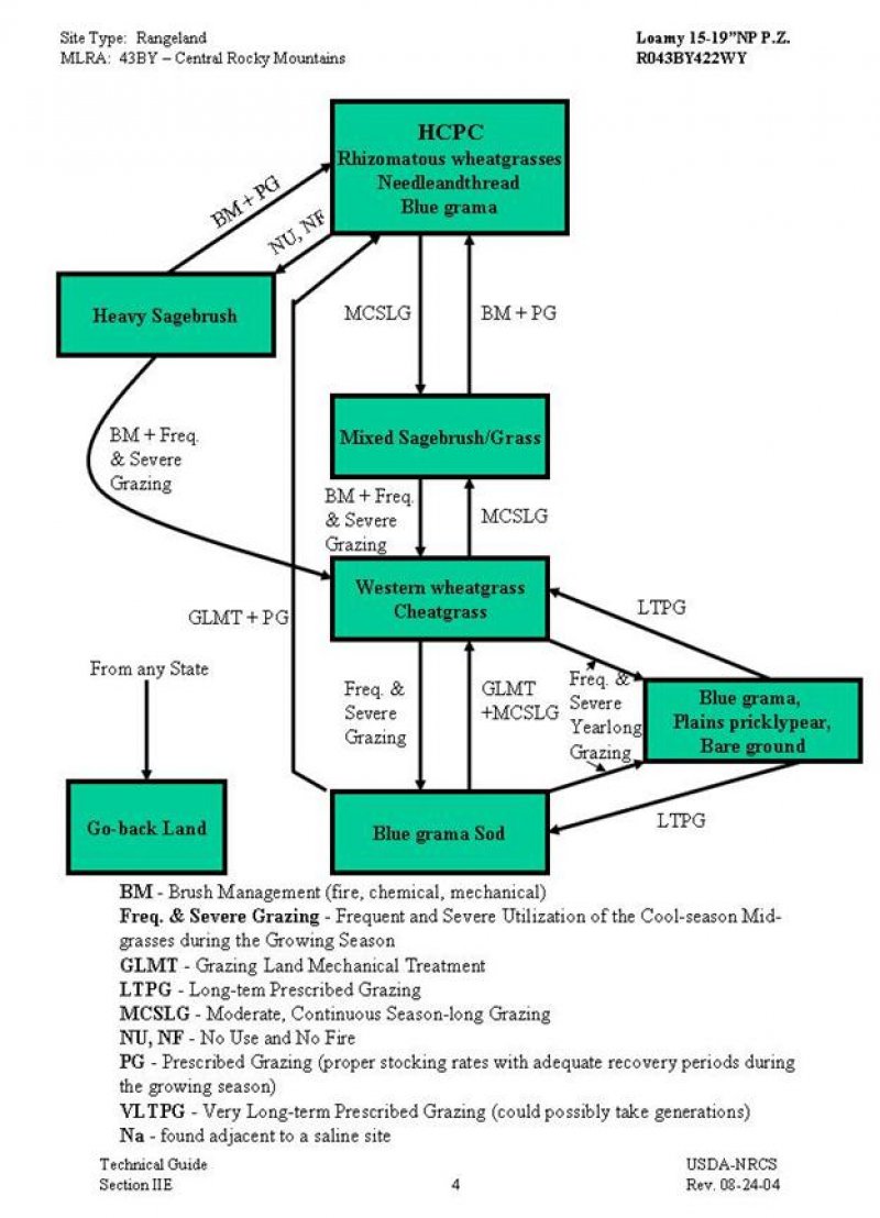 Model diagram