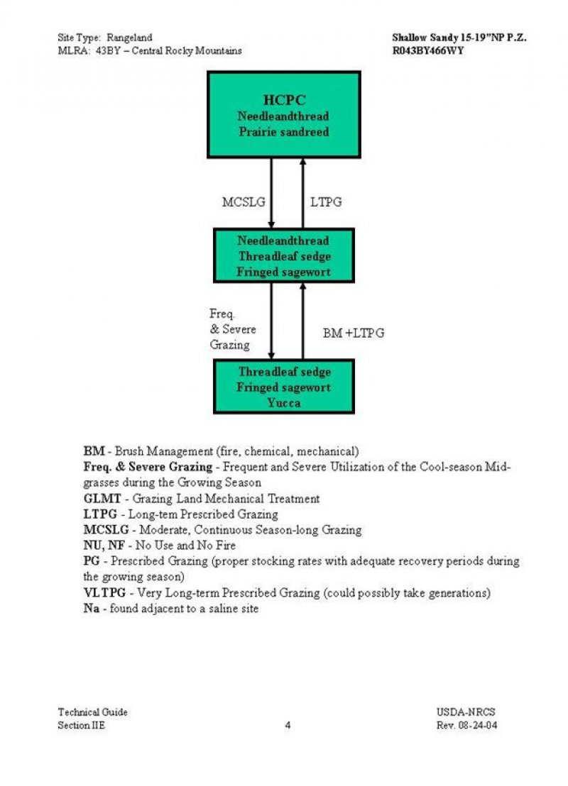 Model diagram