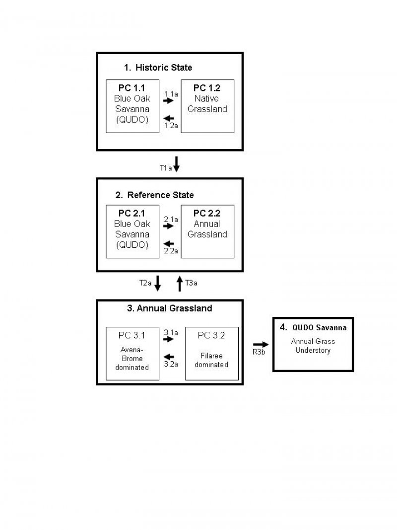Model diagram