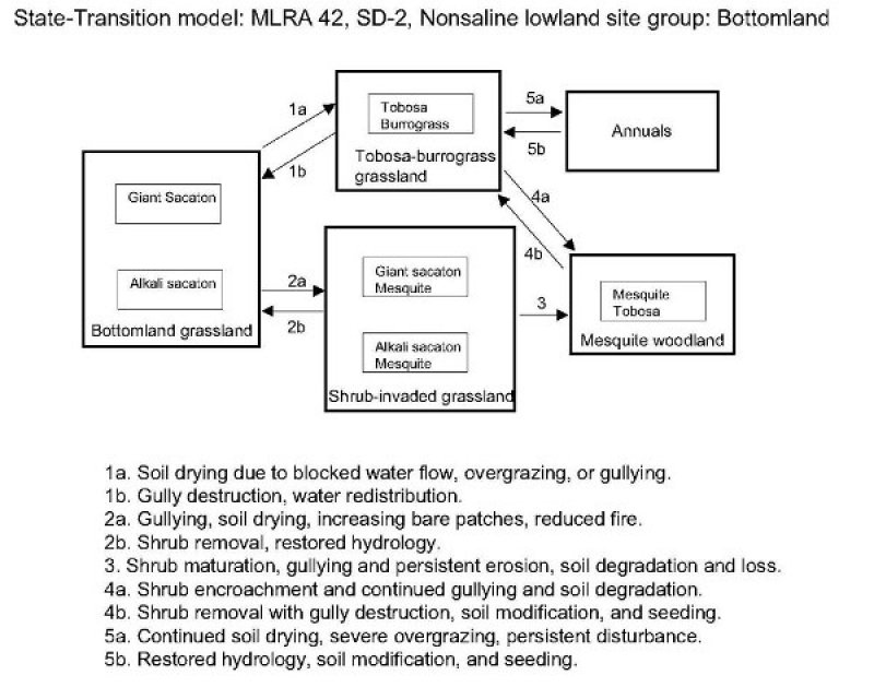 Model diagram