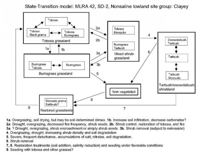 Model diagram