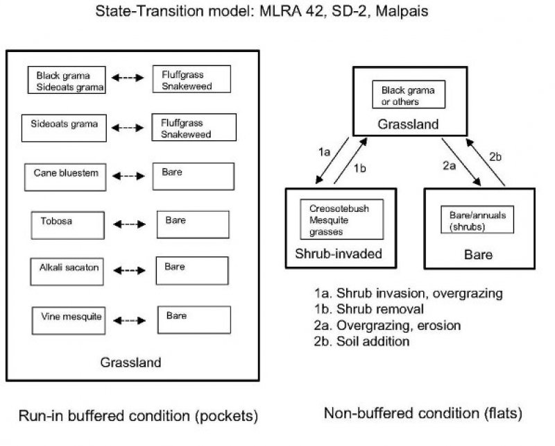 Model diagram