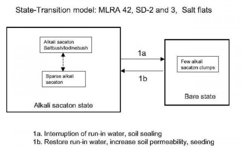 Model diagram