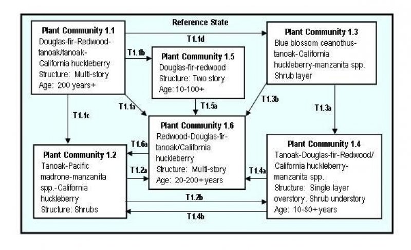 Model diagram