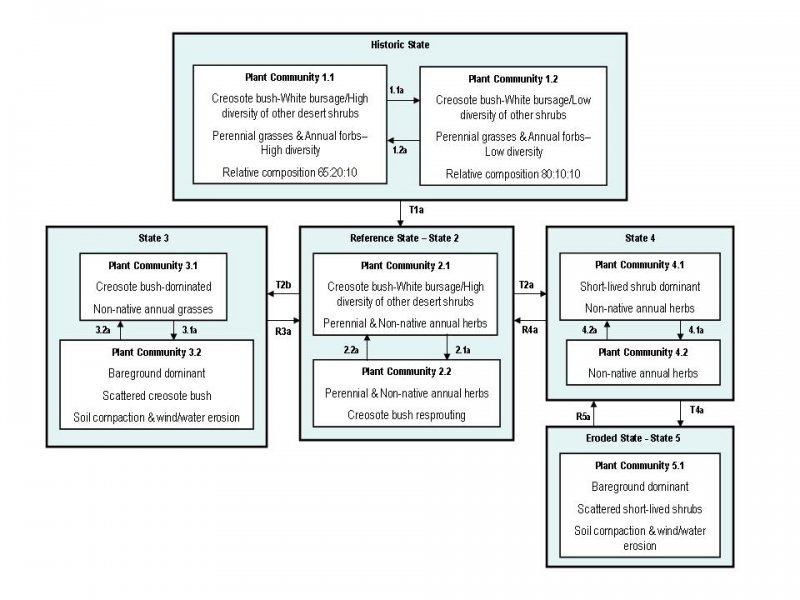 Model diagram