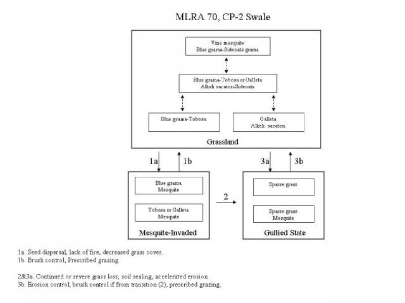 Model diagram