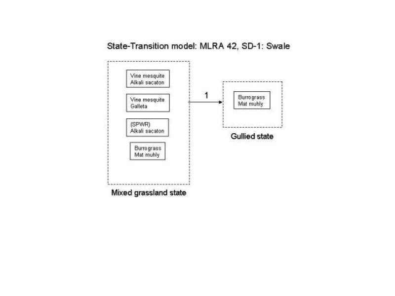 Model diagram