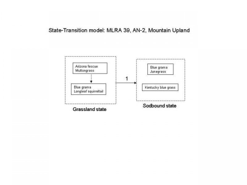 Model diagram