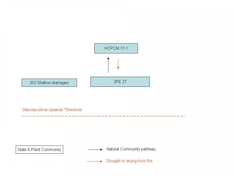 Model diagram