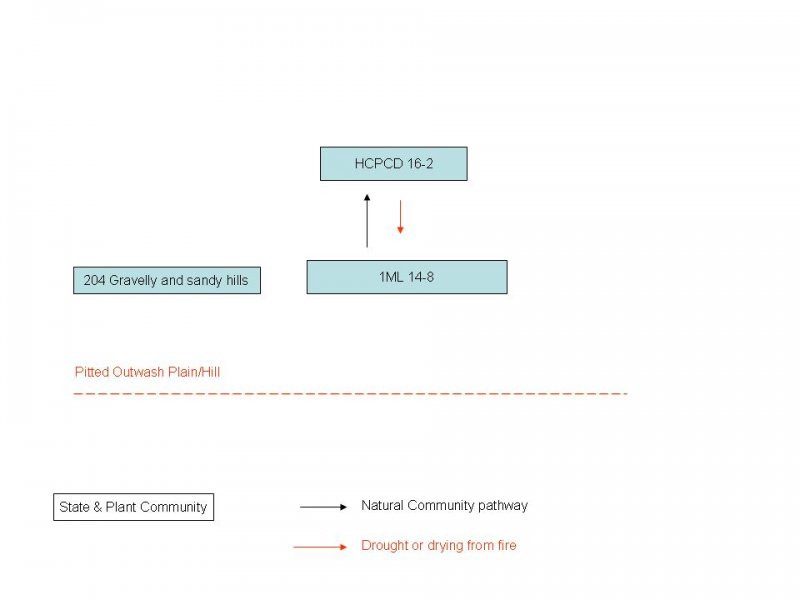 Model diagram