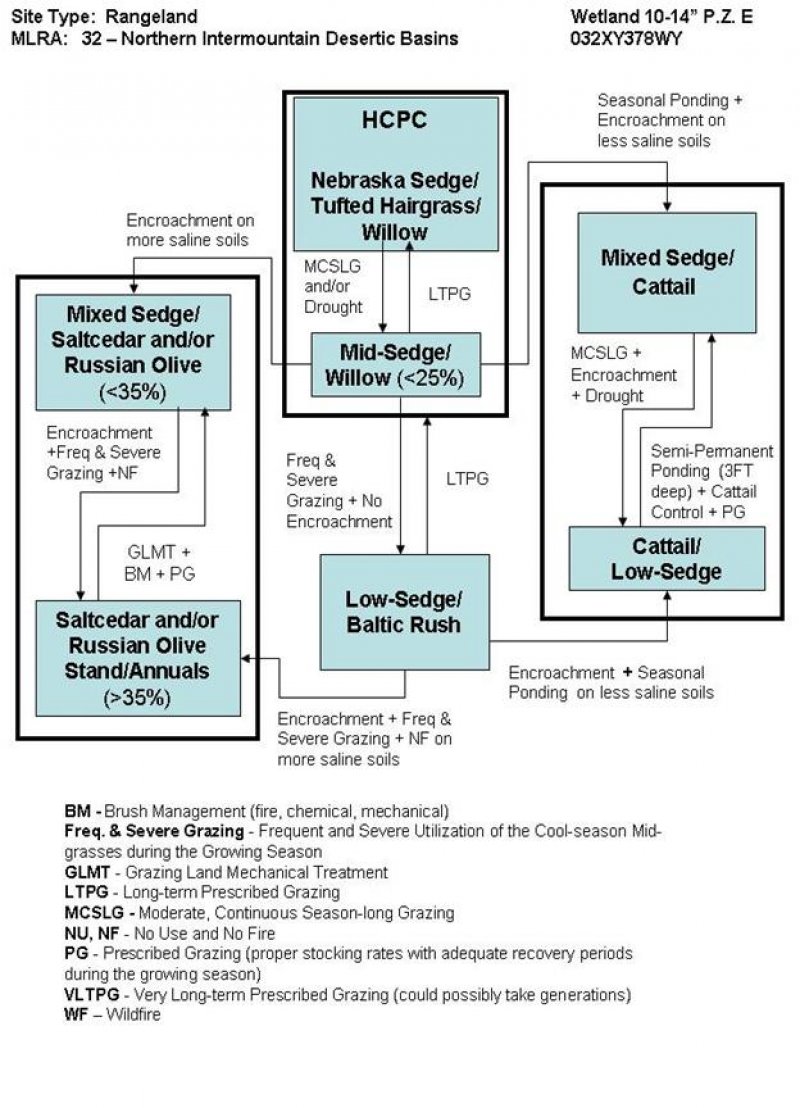 Model diagram