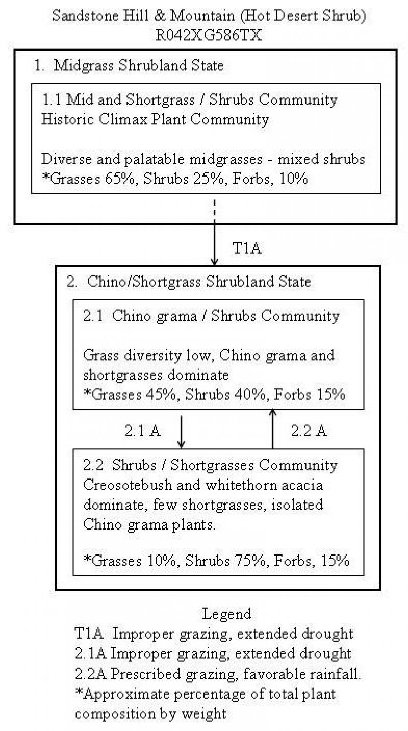 Model diagram