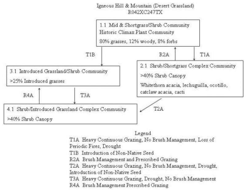 Model diagram
