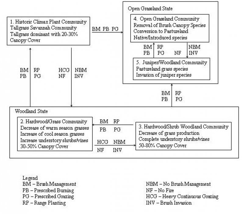 Model diagram