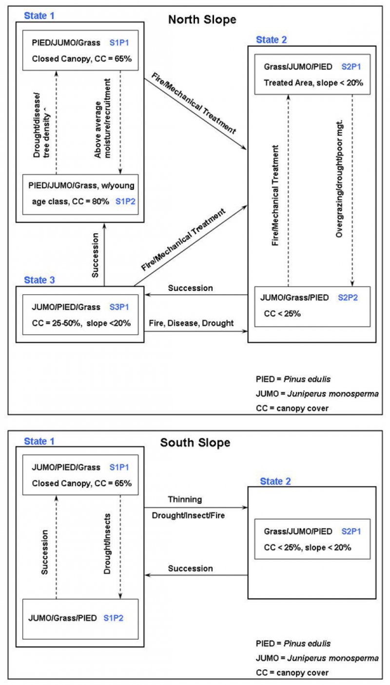 Model diagram