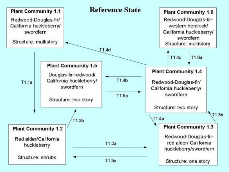 Model diagram